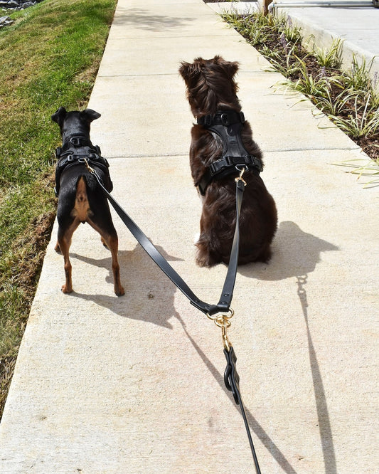 Durable Waterproof and Dirt Resistant Black Double Dog Leash Nylon Modern Soft Touch Coupler Splitter Walking 2 Small Medium Large Dogs