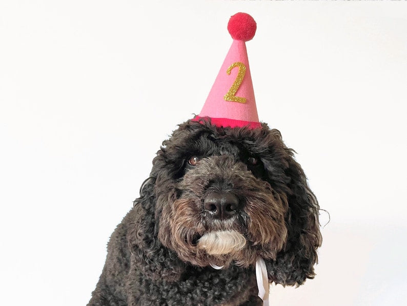 Dog Birthday Party Hat | Cat Party Hat with Age | Custom Dog Birthday Hat | Pet Cone Hat | Pet Birthday Supplies | Dog Party Outfit